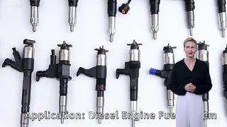 Diesel engine injector display